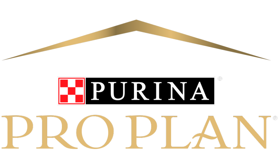 Marcas participantes